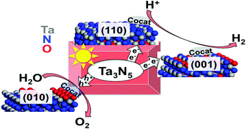 Designing An Active Ta3n5 Photocatalyst For H2 And O2 Evolution Reactions By Specific Exposed Facet Engineering A First Principles Study Physical Chemistry Chemical Physics Rsc Publishing