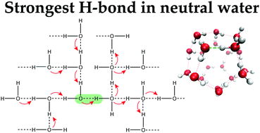 Hydrogen bonding in life - Labster Theory