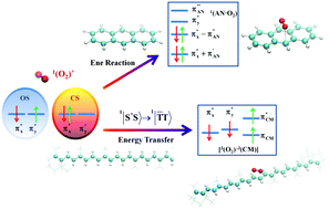 Reactivities of singlet oxygen open shell or closed shell