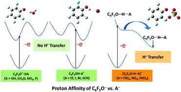 Determinants For Proton Location And Electron Coupled Proton Transfer In Hydrogen Bonded Pentafluorophenol Anion Clusters Physical Chemistry Chemical Physics Rsc Publishing
