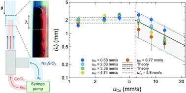 Oscillatory Budding Dynamics Of A Chemical Garden Within A Co Flow Of Reactants Physical Chemistry Chemical Physics Rsc Publishing