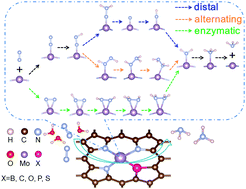 Boosting Electrochemical Nitrogen Reduction Reaction Performance Of Two Dimensional Mo Porphyrin Monolayers Via Turning The Coordination Environment Physical Chemistry Chemical Physics Rsc Publishing