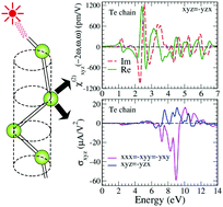 Significant second-harmonic generation and bulk photovoltaic effect in  trigonal selenium and tellurium chains - Physical Chemistry Chemical  Physics (RSC Publishing)