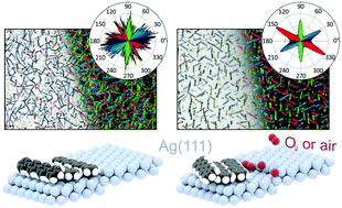 Selective Saturation Of Step Edges As A Tool To Control The Growth Of Molecular Fibres Physical Chemistry Chemical Physics Rsc Publishing