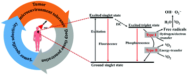 Recent progress in photosensitizers for overcoming the challenges of