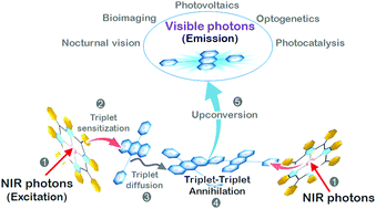 Triplet–triplet annihilation based near infrared to visible