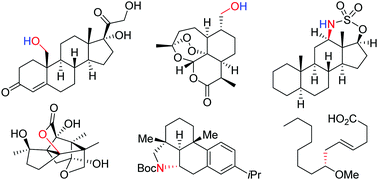 Iron And Cobalt Catalyzed C Sp3 H Bond Functionalization Reactions And Their Application In Organic Synthesis Chemical Society Reviews Rsc Publishing