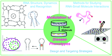 Targeting RNA With Small Molecules: From Fundamental Principles Towards ...