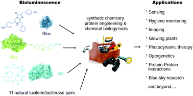 Applications Of Bioluminescence In Biotechnology And Beyond Chemical Society Reviews Rsc Publishing