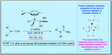 Catalytic Hydration Of Cyanamides With Phosphinous Acid Based Ruthenium Ii And Osmium Ii Complexes Scope And Mechanistic Insights Catalysis Science Technology Rsc Publishing