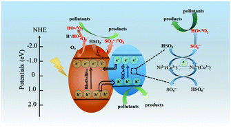 Visible Light Activation Of Peroxymonosulfate By Nico2o4 Bi24o31br10 To Accelerate Tetracycline Degradation Catalysis Science Technology Rsc Publishing