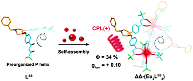 Preorganized Helical Chirality Controlled Homochiral Self Assembly And Circularly Polarized Luminescence Of A Quadruple Stranded Eu2l4 Helicate Dalton Transactions Rsc Publishing
