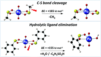 Carbon Sulfur Bond Strength In Methanesulfinate And Benzenesulfinate Ligands Directs Decomposition Of Np V And Pu V Coordination Complexes Dalton Transactions Rsc Publishing