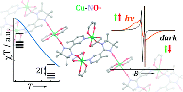 Exchange interactions in photoinduced magnetostructural states of ...