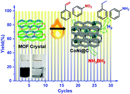 cascade evans cycles