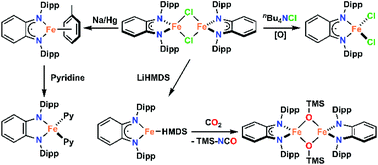 Syntheses And Characterizations Of Iron Complexes Of Bulky O Phenylenediamide Ligand Dalton Transactions Rsc Publishing
