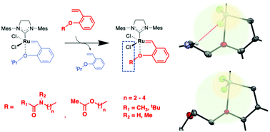 Second Coordination Sphere Effects On The Reactivities Of Hoveyda Grubbs Type Catalysts A Ligand Exchange Study Using Phenolic Moiety Functionalized Ligands Dalton Transactions Rsc Publishing