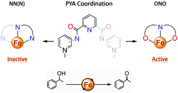 Modular O Vs N Coordination Of Pyridylidene Amide Ligands To Iron Determines Activity In Alcohol Oxidation Catalysis Dalton Transactions Rsc Publishing