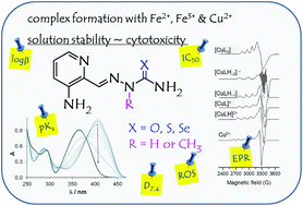 Complex Formation And Cytotoxicity Of Triapine Derivatives A Comparative Solution Study On The Effect Of The Chalcogen Atom And Nh Methylation Dalton Transactions Rsc Publishing