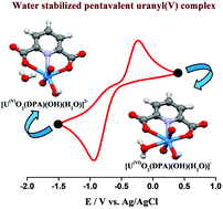 Stabilization Of Uranyl V By Dipicolinic Acid In Aqueous Medium Dalton Transactions Rsc Publishing