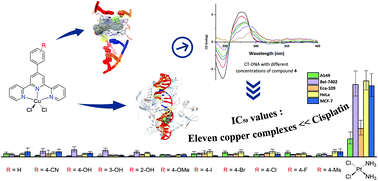 Copper Chloride Complexes With Substituted 4 Phenyl Terpyridine Ligands Synthesis Characterization Antiproliferative Activities And Dna Interactions Dalton Transactions Rsc Publishing