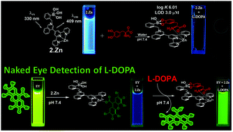 Chemosensing Of Neurotransmitters With Selectivity And Naked Eye Detection Of L Dopa Based On Fluorescent Zn Ii Terpyridine Bearing Boronic Acid Complexes Dalton Transactions Rsc Publishing