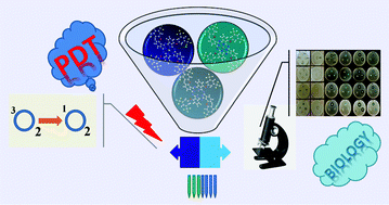 Investigation Of The Biological And Photophysicochemical Properties Of New Non Peripheral Fluorinated Phthalocyanines Dalton Transactions Rsc Publishing