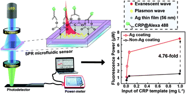 Metal Enhanced Sensing Platform For The Highly Sensitive Detection Of C Reactive Protein Antibody And Rhodamine B With Applications In Cardiovascular Diseases And Food Safety Dalton Transactions Rsc Publishing