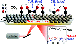 Time Resolved Observation Of C C Coupling Intermediates On Cu Electrodes For Selective Electrochemical Co2 Reduction Energy Environmental Science Rsc Publishing