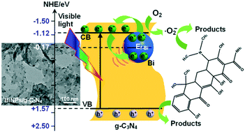 Facile Fabrication Of Bi Nanoparticle Decorated G C3n4 Photocatalysts For Effective Tetracycline Hydrochloride Degradation Environmental Factors Degradation Mechanism Pathways And Biotoxicity Evaluation Environmental Science Nano Rsc Publishing