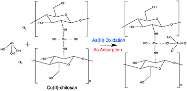 Aerobic Oxidation Of Arsenite To Arsenate By Cu Ii Chitosan O2 In Fenton Like Reaction A Xanes Investigation Environmental Science Water Research Technology Rsc Publishing