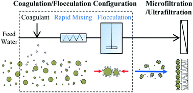 Coagulation/flocculation prior to low pressure membranes ...