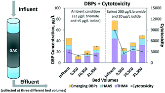 Treating Water Containing Elevated Bromide And Iodide Levels With Granular Activated Carbon And Free Chlorine Impacts On Disinfection Byproduct Formation And Calculated Toxicity Environmental Science Water Research Technology Rsc Publishing