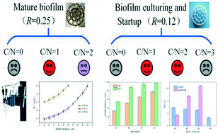 Effect Of C N On Partial Nitrification In An Mbbr At Low Temperature Environmental Science Water Research Technology Rsc Publishing