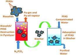 Removal Of PFASs From Biosolids Using A Semi-pilot Scale Pyrolysis ...