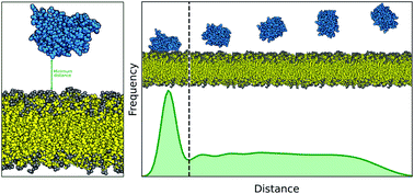 Estimating the accuracy of the MARTINI model towards the investigation of  peripheral protein–membrane interactions - Faraday Discussions (RSC  Publishing)