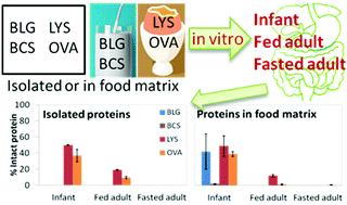 The Pattern Of Peptides Released From Dairy And Egg Proteins Is Highly Dependent On The Simulated Digestion Scenario Food Function Rsc Publishing