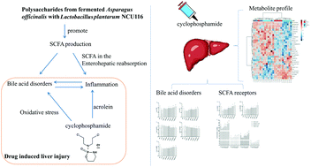 does the liver produce glutathione Glutathione: Master Antioxidant, Reducing Oxidative Stress, and  Detoxification main image 1