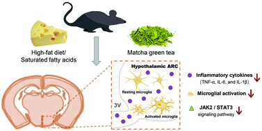 Green tea and inflammation