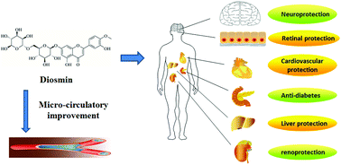 Phlebodia de la varicose reviews pret