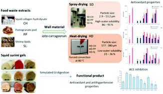 Entrapment of natural compounds in spray-dried and heat-dried iota- carrageenan matrices as functional ingredients in surimi gels - Food &  Function (RSC Publishing)