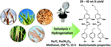 Reductive Catalytic Fractionation Of Agricultural Residue And Energy Crop Lignin And Application Of Lignin Oil In Antimicrobials Green Chemistry Rsc Publishing