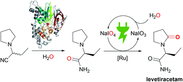 The Sustainable Synthesis Of Levetiracetam By An Enzymatic Dynamic Kinetic Resolution And An Ex Cell Anodic Oxidation Green Chemistry Rsc Publishing