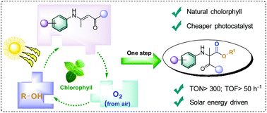 Nature Inspired Singlet Oxygen Generation To Access A Amino Carbonyl Compounds Via 1 2 Acyl Migration Green Chemistry Rsc Publishing