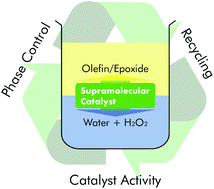 Supramolecular Concepts For The Biphasic Epoxidation Of Olefins Using Aqueous Hydrogen Peroxide Green Chemistry Rsc Publishing
