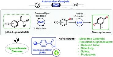 Benzoic acid resin (BAR): a heterogeneous redox organocatalyst for  continuous flow synthesis of benzoquinones from β-O-4 lignin models - Green  Chemistry (RSC Publishing)