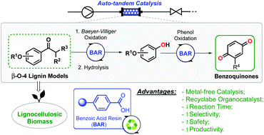 Benzoic Acid Resin Bar A Heterogeneous Redox Organocatalyst For Continuous Flow Synthesis Of Benzoquinones From B O 4 Lignin Models Green Chemistry Rsc Publishing