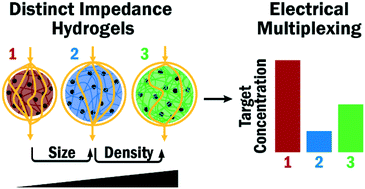 Rapid Multiplexed Detection Of Biomolecules Using Electrically Distinct Hydrogel Beads Lab On A Chip Rsc Publishing