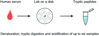 Tryptic Digestion Of Human Serum For Proteomic Mass Spectrometry Automated By Centrifugal Microfluidics Lab On A Chip Rsc Publishing