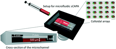 Louis P. Alarcón  Microelectronics and Microprocessors Laboratory